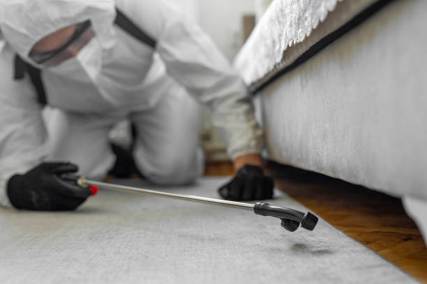 Professional Termite Control technician working in Lakeville, MN
