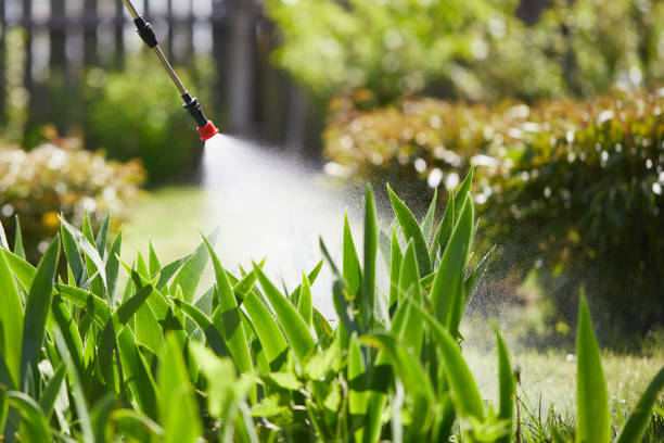 24/7 Emergency Termite Control experts in Lakeville, MN