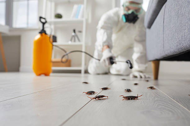 Trusted Cockroach Control service in Lakeville, MN - Nex Pest Control
