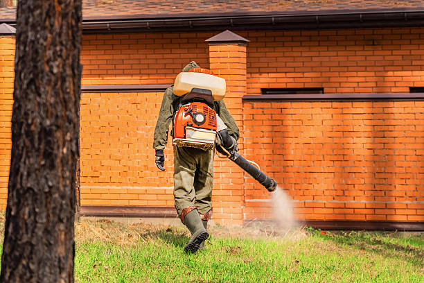 Trusted Mosquito Control service in Lakeville, MN - Nex Pest Control